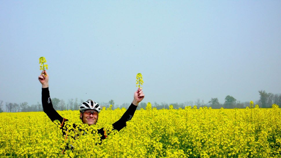 Biker in a field of yellow flowers in Piedmont