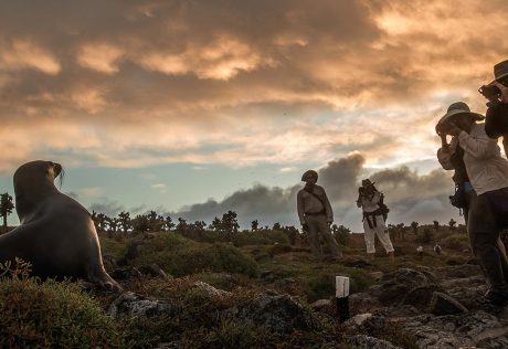 Photographing a sea lion in the Galapagos