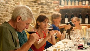 Wine tasting in Piedmont
